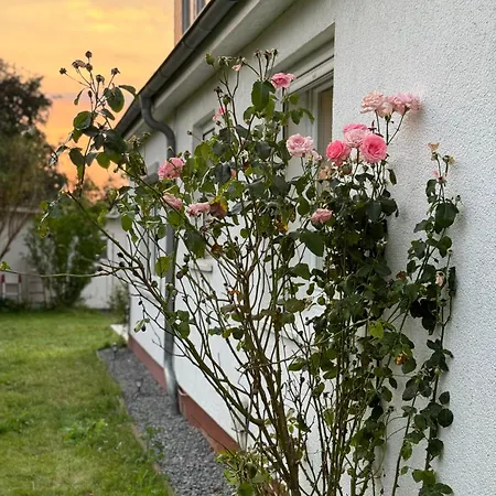 Holiday home Wunder-grill-relax Garten Bremen